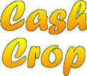 Cash Crop Cash Crop