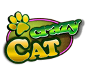 Crazy Cat Crazy Cat