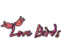 Love Birds Love Birds