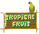 Tropical Fruit Tropical Fruit
