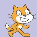 Crazy Cat
