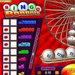 Bingo Bonanza